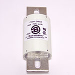 Ferrule
